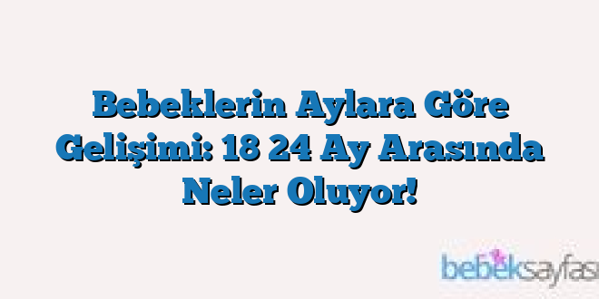 Bebeklerin Aylara Göre Gelişimi: 18 24 Ay Arasında Neler Oluyor!