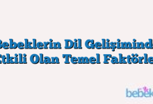 Bebeklerin Dil Gelişiminde Etkili Olan Temel Faktörler