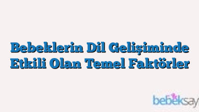 Bebeklerin Dil Gelişiminde Etkili Olan Temel Faktörler