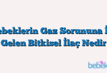 Bebeklerin Gaz Sorununa İyi Gelen Bitkisel İlaç Nedir