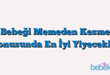 Bebeği Memeden Kesme Konusunda En İyi Yiyecekler