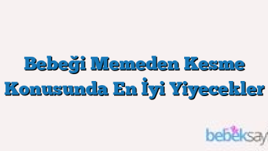 Bebeği Memeden Kesme Konusunda En İyi Yiyecekler