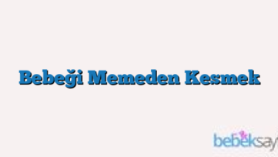 Bebeği Memeden Kesmek