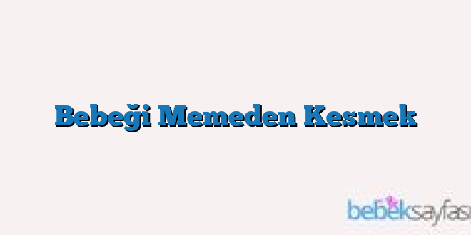 Bebeği Memeden Kesmek