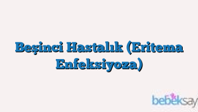 Beşinci Hastalık (Eritema Enfeksiyoza)