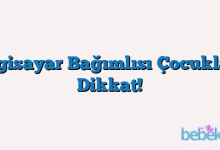Bilgisayar Bağımlısı Çocuklara Dikkat!