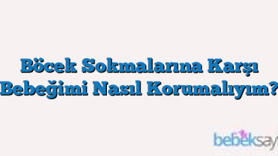 Böcek Sokmalarına Karşı Bebeğimi Nasıl Korumalıyım?