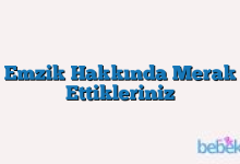 Emzik Hakkında Merak Ettikleriniz