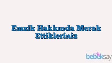 Emzik Hakkında Merak Ettikleriniz