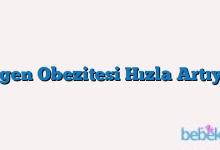 Ergen Obezitesi Hızla Artıyor