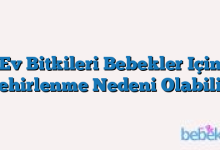 Ev Bitkileri Bebekler Için Zehirlenme Nedeni Olabilir!