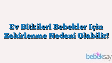 Ev Bitkileri Bebekler Için Zehirlenme Nedeni Olabilir!