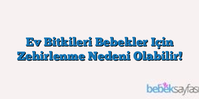Ev Bitkileri Bebekler Için Zehirlenme Nedeni Olabilir!