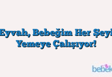 Eyvah, Bebeğim Her Şeyi Yemeye Çalışıyor!