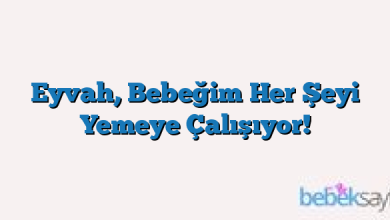 Eyvah, Bebeğim Her Şeyi Yemeye Çalışıyor!