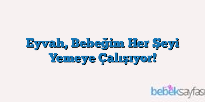 Eyvah, Bebeğim Her Şeyi Yemeye Çalışıyor!