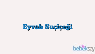 Eyvah Suçiçeği