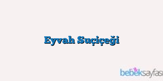 Eyvah Suçiçeği
