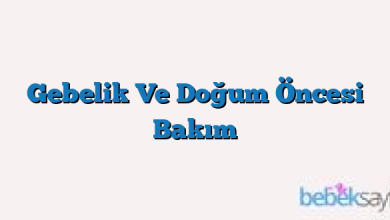 Gebelik Ve Doğum Öncesi Bakım