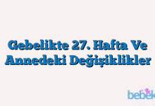 Gebelikte 27. Hafta Ve Annedeki Değişiklikler