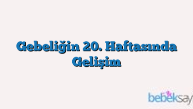 Gebeliğin 20. Haftasında Gelişim