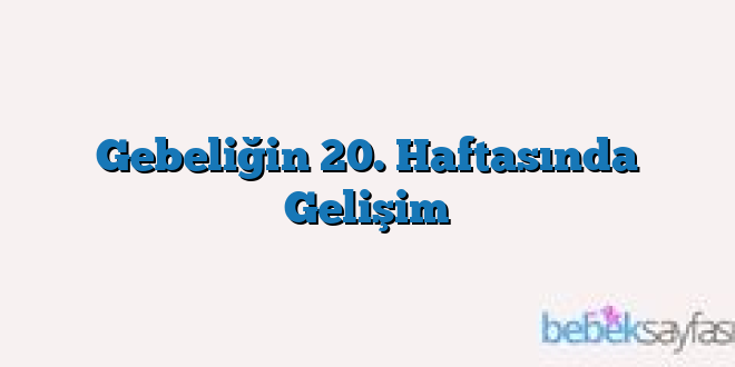 Gebeliğin 20. Haftasında Gelişim