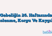 Gebeliğin 26. Haftasında Beslenme, Korgu Ve Kaygılar