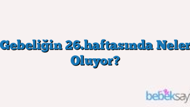 Gebeliğin 26.haftasında Neler Oluyor?