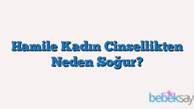 Hamile Kadın Cinsellikten Neden Soğur?