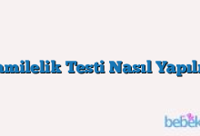 Hamilelik  Testi Nasıl Yapılır?