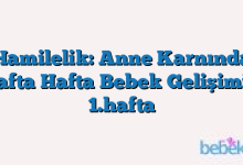 Hamilelik: Anne Karnında Hafta Hafta Bebek Gelişimi – 1.hafta