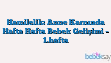 Hamilelik: Anne Karnında Hafta Hafta Bebek Gelişimi – 1.hafta