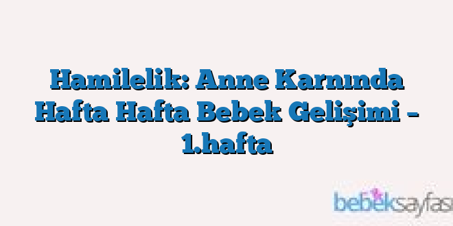 Hamilelik: Anne Karnında Hafta Hafta Bebek Gelişimi – 1.hafta