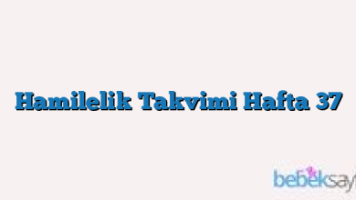 Hamilelik Takvimi Hafta 37