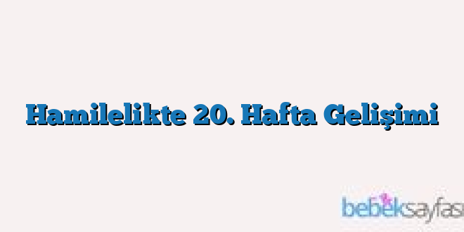 Hamilelikte 20. Hafta Gelişimi