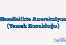 Hamilelikte Anoreksiyon (Yemek Bozukluğu)