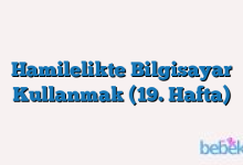 Hamilelikte Bilgisayar Kullanmak (19. Hafta)