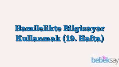 Hamilelikte Bilgisayar Kullanmak (19. Hafta)