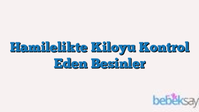 Hamilelikte Kiloyu Kontrol Eden Besinler