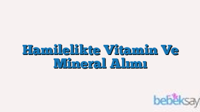 Hamilelikte Vitamin Ve Mineral Alımı