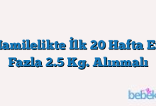 Hamilelikte İlk 20 Hafta En Fazla 2.5 Kg. Alınmalı