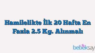 Hamilelikte İlk 20 Hafta En Fazla 2.5 Kg. Alınmalı