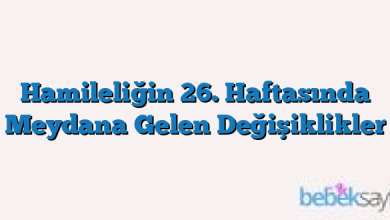 Hamileliğin 26. Haftasında Meydana Gelen Değişiklikler