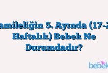 Hamileliğin 5. Ayında (17-20 Haftalık) Bebek Ne Durumdadır?
