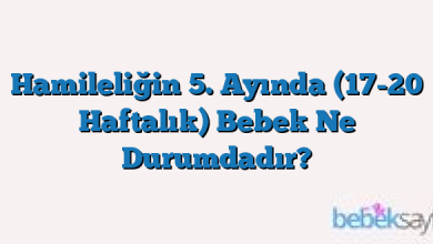 Hamileliğin 5. Ayında (17-20 Haftalık) Bebek Ne Durumdadır?