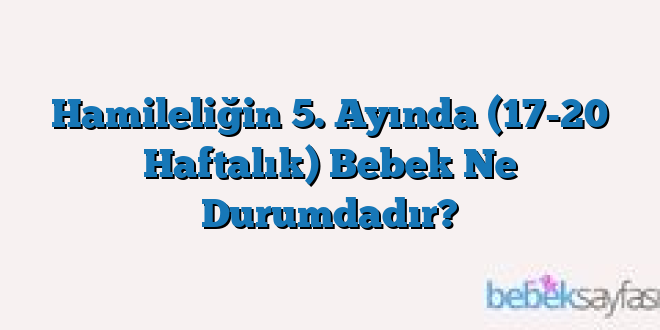 Hamileliğin 5. Ayında (17-20 Haftalık) Bebek Ne Durumdadır?