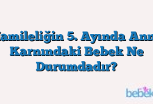 Hamileliğin 5. Ayında Anne Karnındaki Bebek Ne Durumdadır?
