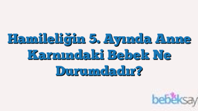 Hamileliğin 5. Ayında Anne Karnındaki Bebek Ne Durumdadır?