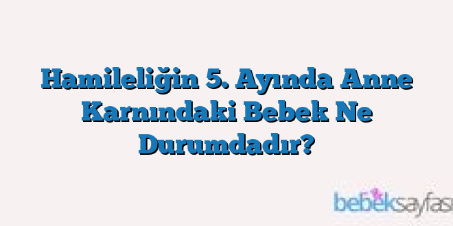 Hamileliğin 5. Ayında Anne Karnındaki Bebek Ne Durumdadır?