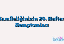 Hamileliğinizin 20. Haftası Semptomları